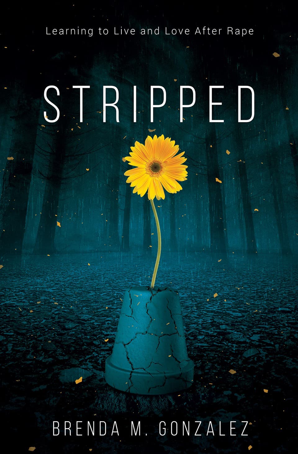 Published Book 10