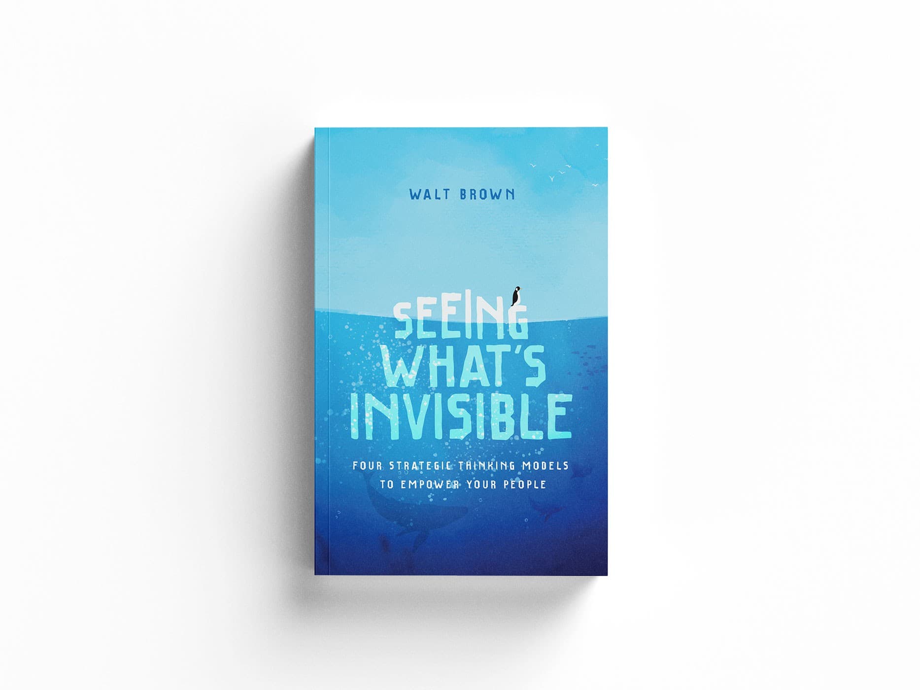 Published Book 17