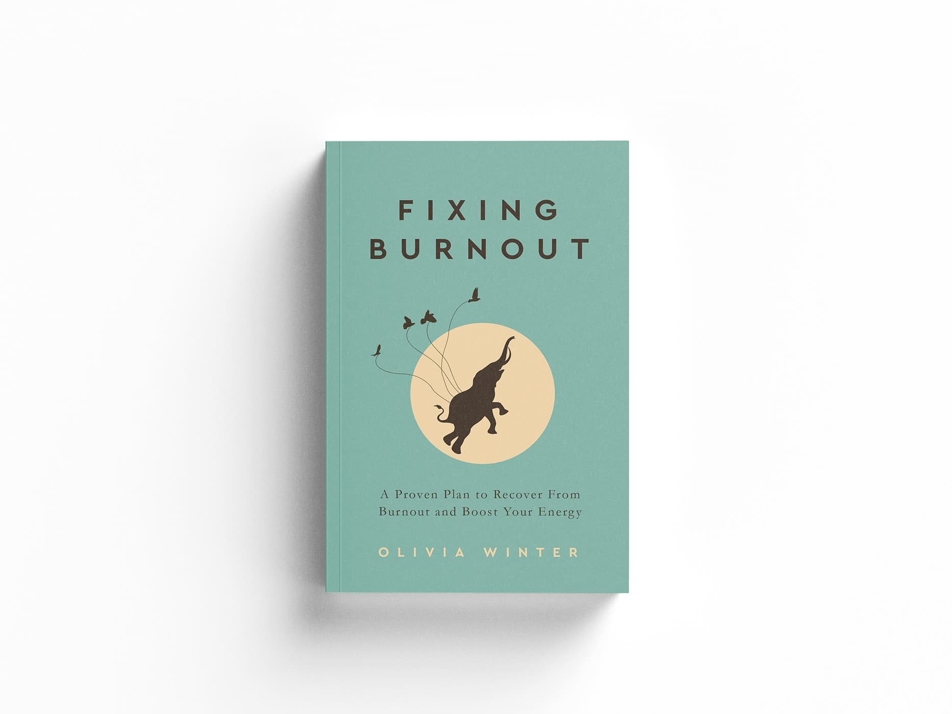 Published Book 23